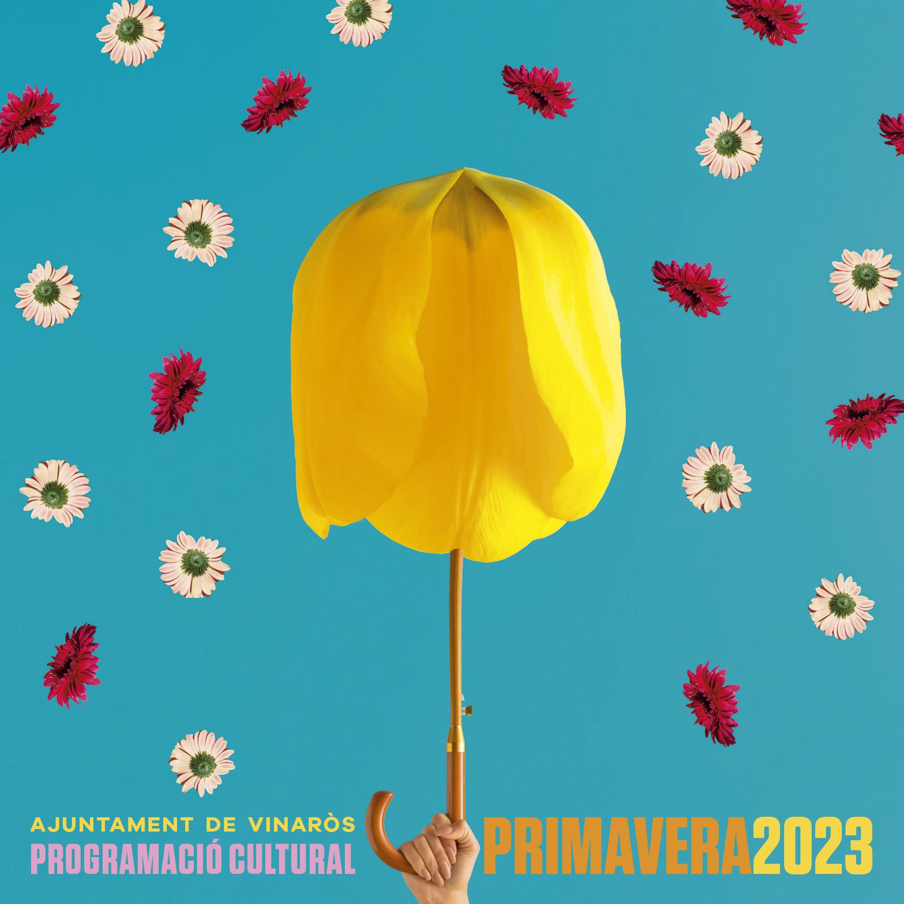 Programacio Primavera