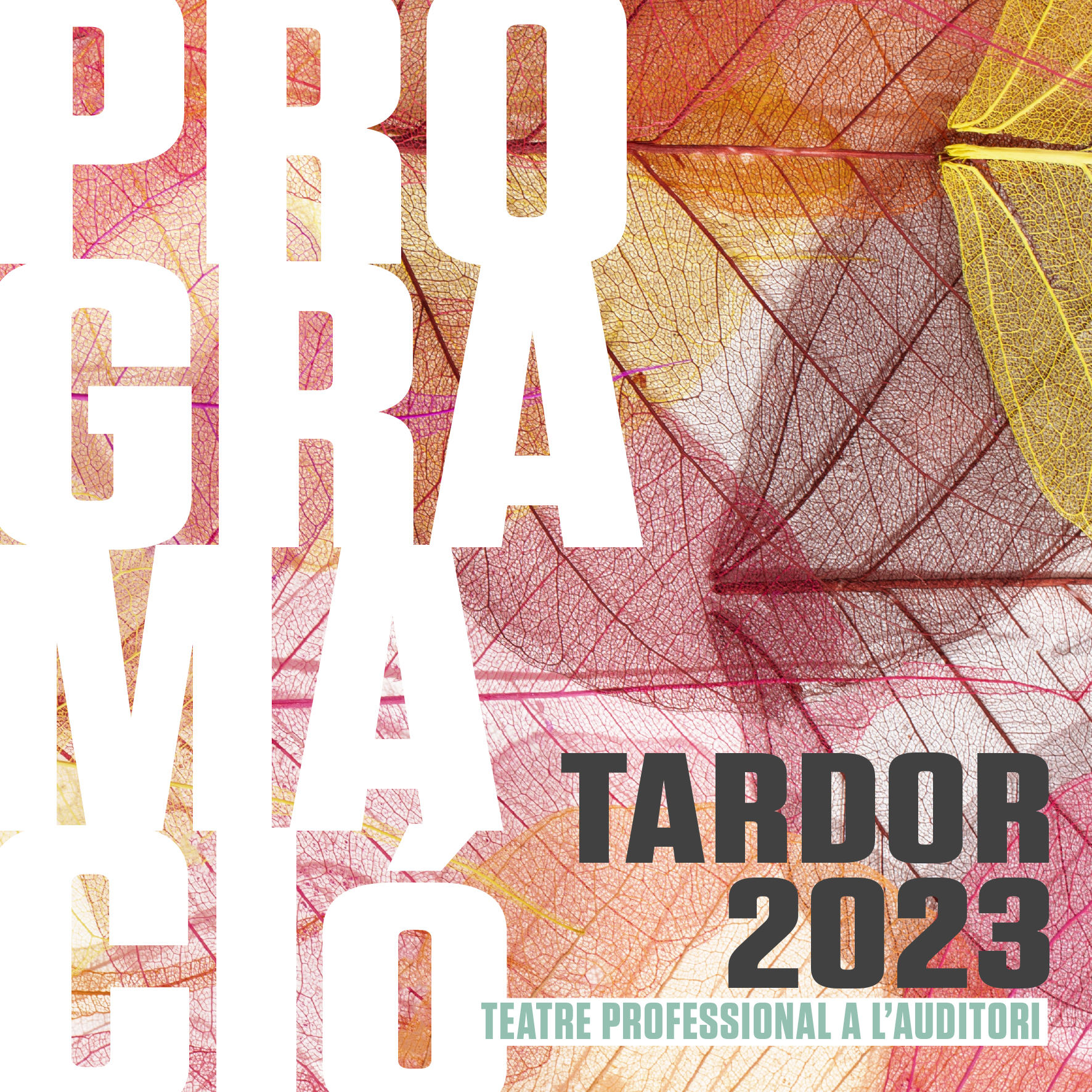 Programacio tardor