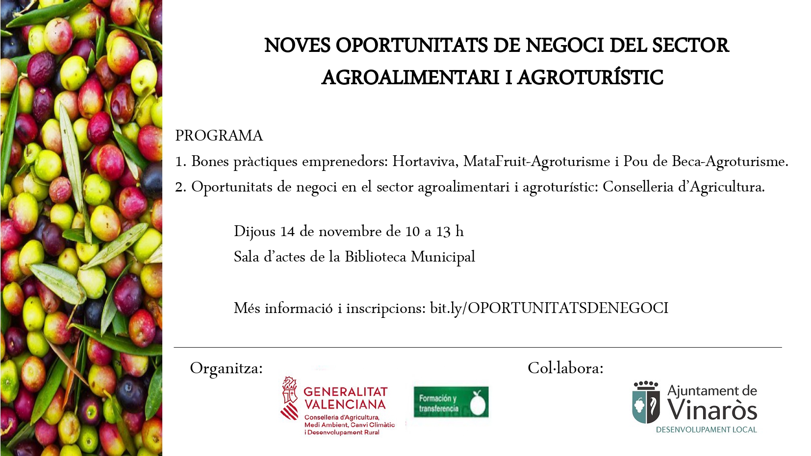 noves oportunitats 