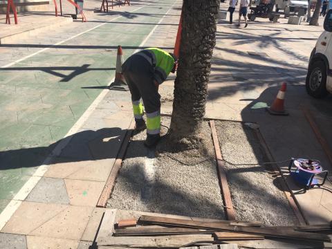 Reparació dels escocells al passeig marítim