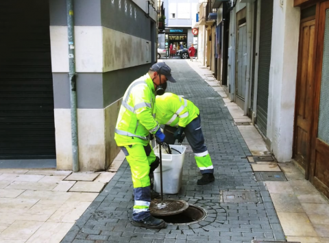 La Regidoria de Medi Ambient informa que inicia la campanya de desratització, desinsectació i desinfecció