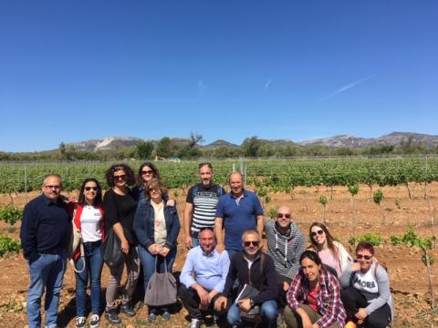 Les empreses amb el reconeixement SICTED participen en la "Jornada de coneixement de l'entorn" 