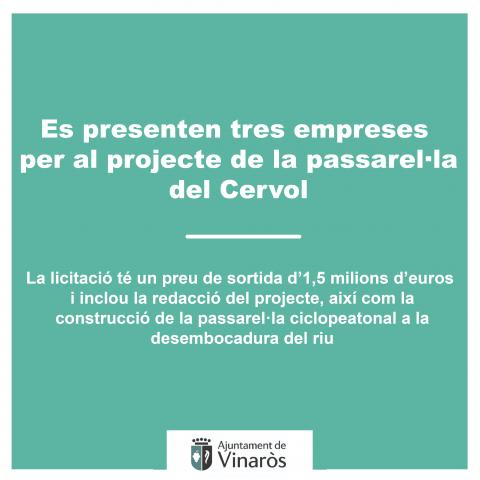 projecte-passarel·la-del-Cervol