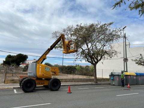 Poda arbres