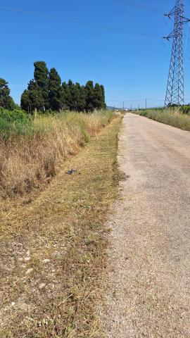Camins rurals