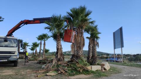 Parc de canis