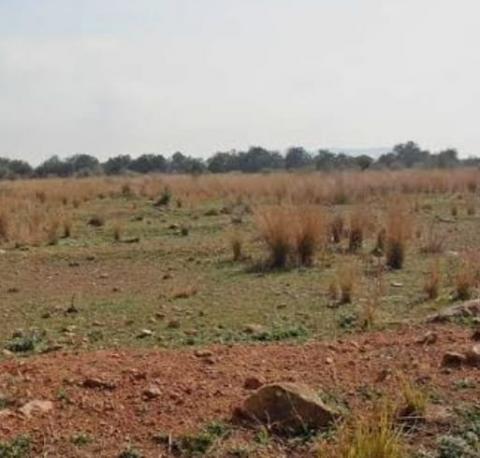 Soterranyes