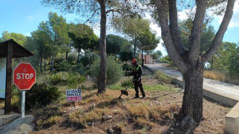 Pla Forestal