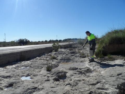 Prevención mosquitos