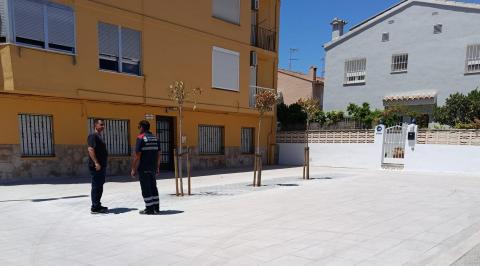 Comte Benavente