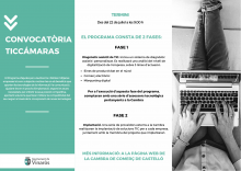 Solicitud para el Programa TicCámaras
