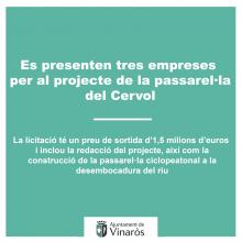 projecte-passarel·la-del-Cervol
