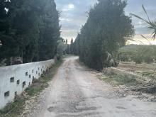Camins Rurals
