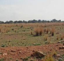 Soterranyes