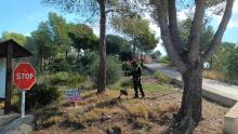 Pla Forestal