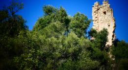 Torreta dels Moros