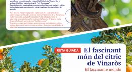 Cartell garrofa cítrics