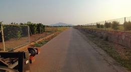 Desbrossament Camins