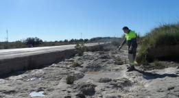 Prevención mosquitos