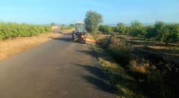 CAMINS RURALS