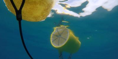 Vinaròs instala boyas en el mar para filtrar microplásticos