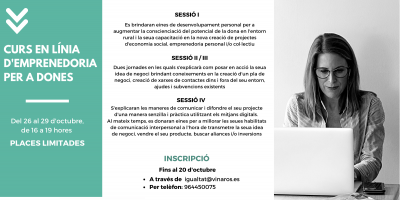 Curso de emprendimiento para mujeres