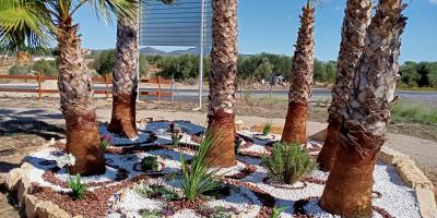 Els alumnes del programa Et Formem adeqüen el parc de la Paret Blanca