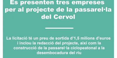 projecte-passarel·la-del-Cervol