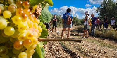 Visites Turisme