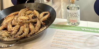 Gastrollagostí 2026