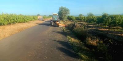 CAMINS RURALS