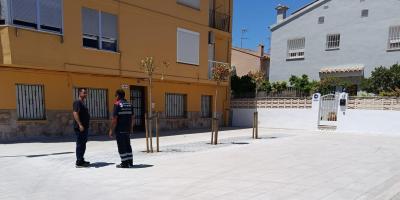 Comte Benavente